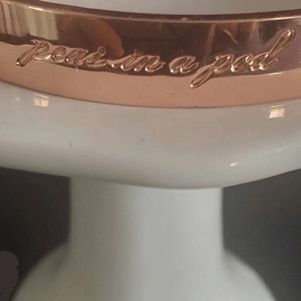 Kate Spade Rose Gold Idiom Bangle Best Friend Ever Peas in a Pod Sidekick‎ Pair - Picture 7 of 8